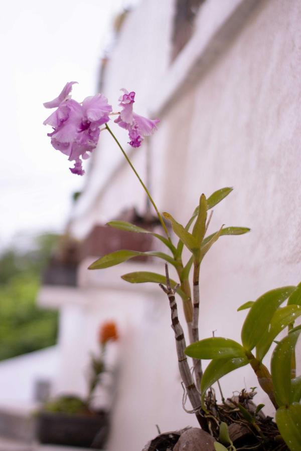 Azamat Self-Catering Apartment Pointe La Rue Bagian luar foto